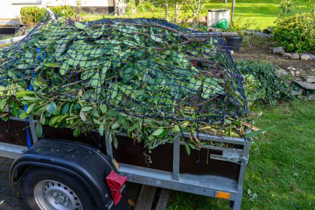 Best Furniture Removal  in Pocomoke City, MD